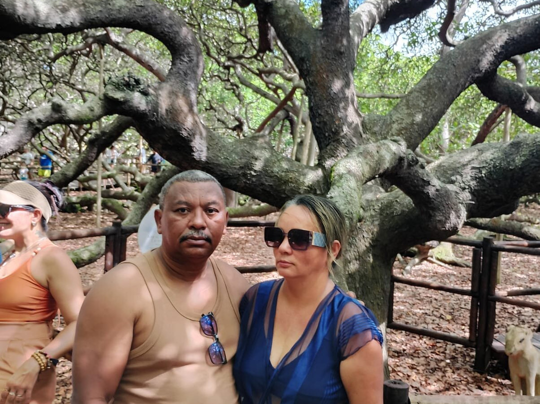 ELOturismo-Natal必去景点