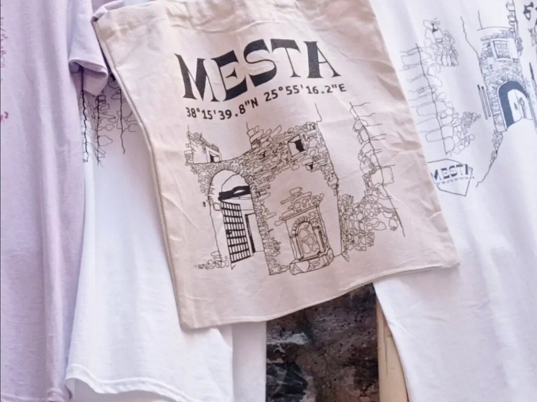 Mesta Project