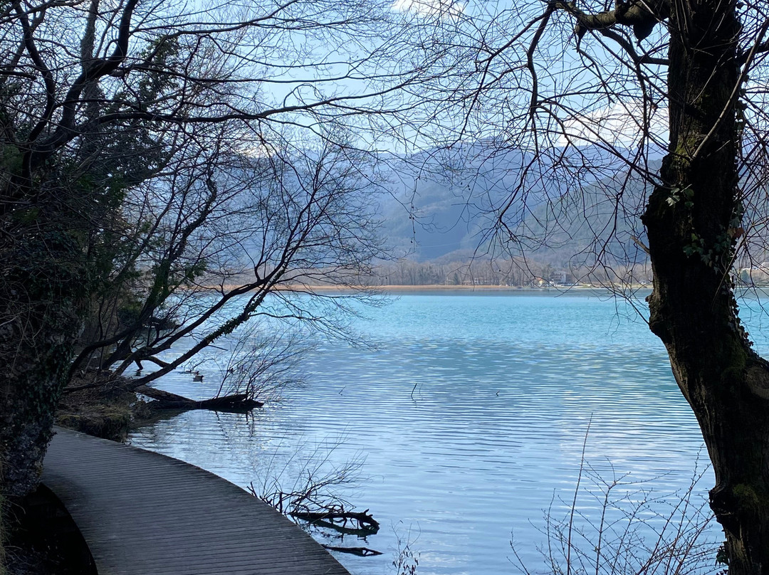 Lago Di Cavazzo-Cavazzo Carnico必去景点