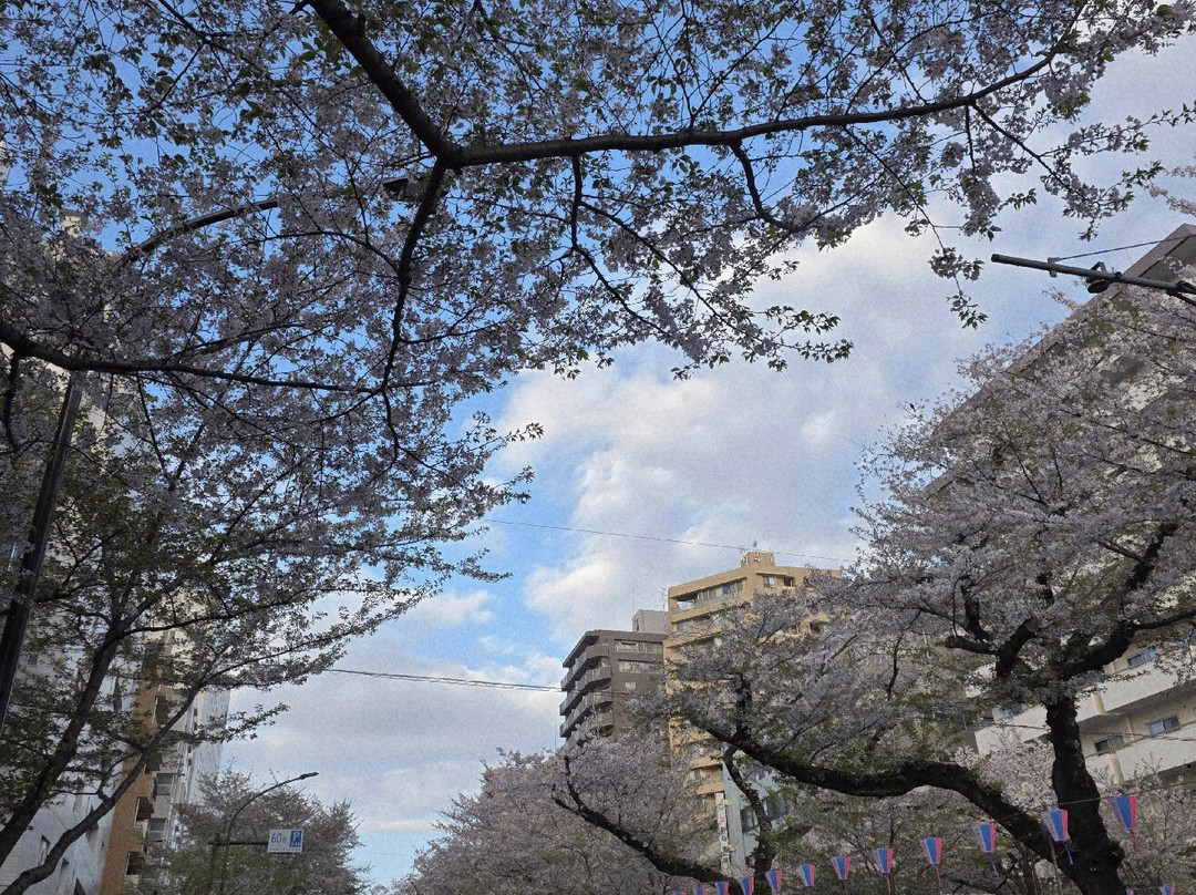 Harimazaka (Harima Slope)-文京区必去景点