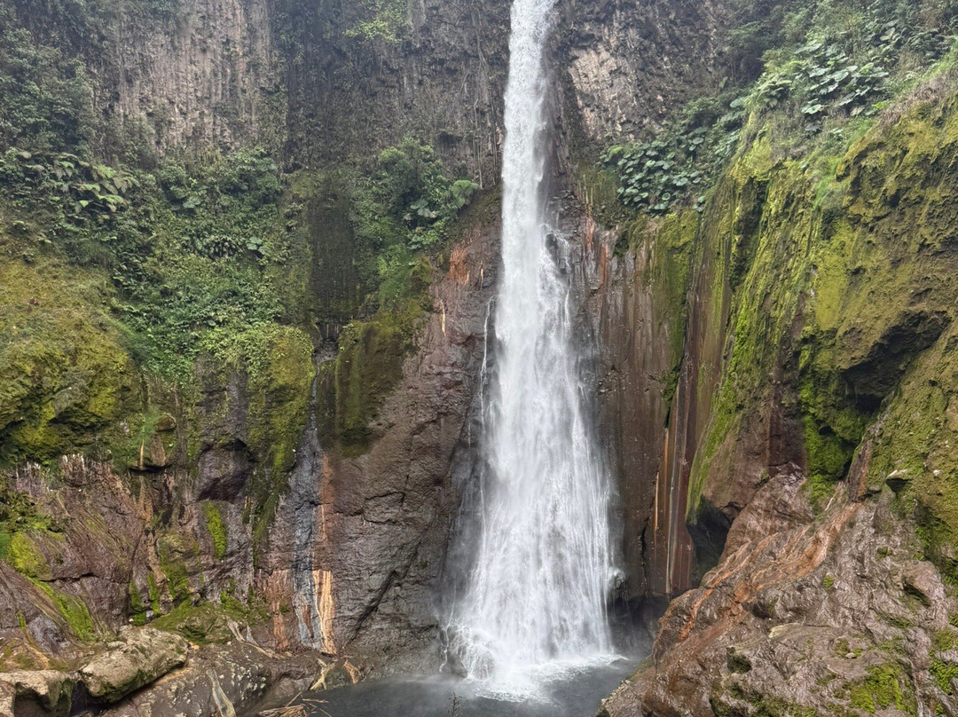 Catarata Del Toro-Bajos del Toro必去景点