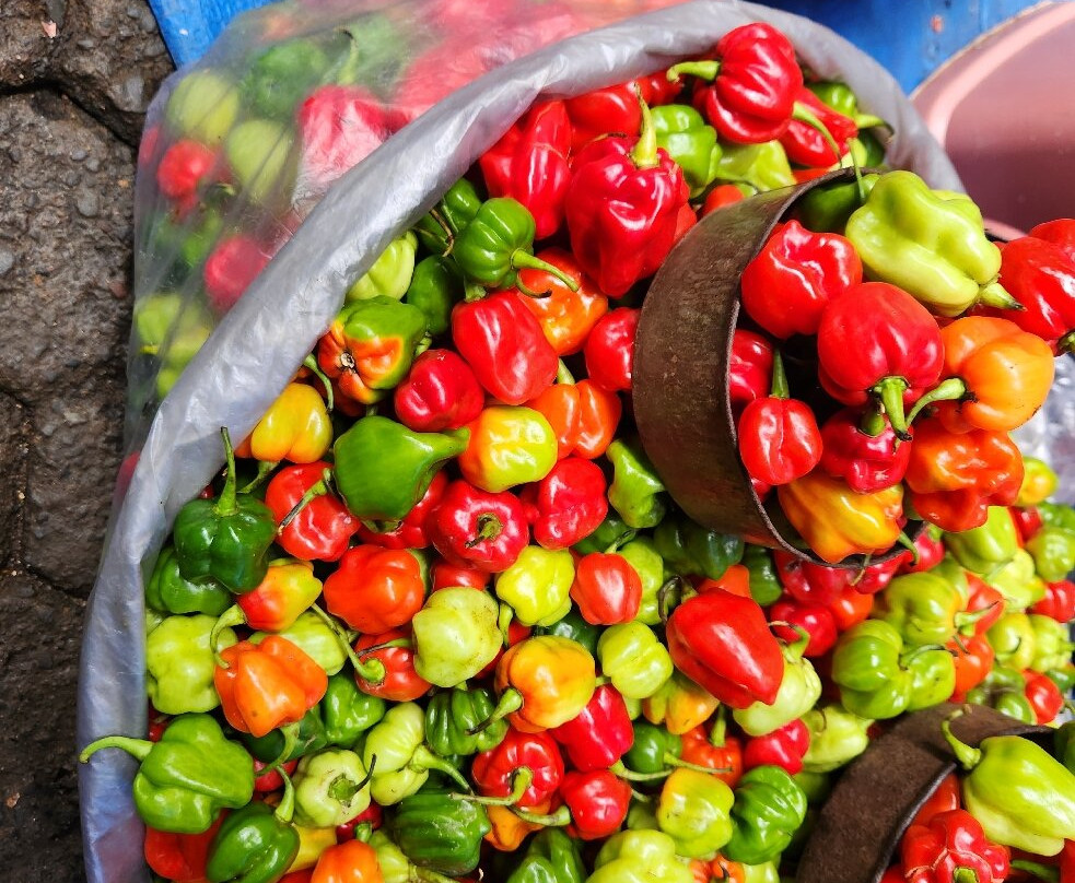 Toraja local guide-Tana Toraja必去景点