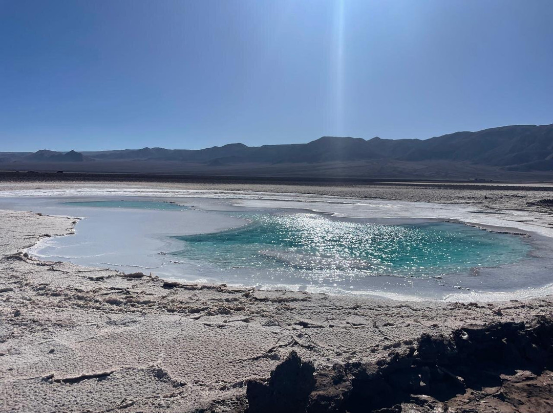 Lagunas Baltinache-圣佩德罗-德阿塔卡马必去景点
