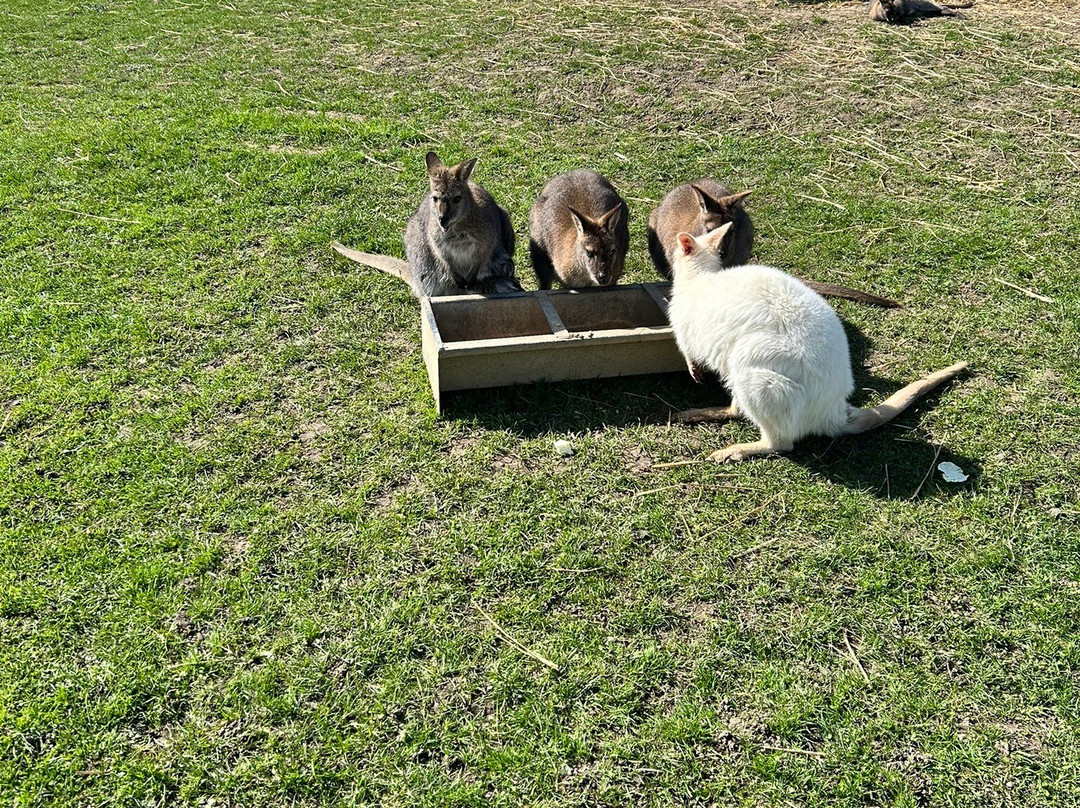 Monk Park Farm-Bagby必去景点