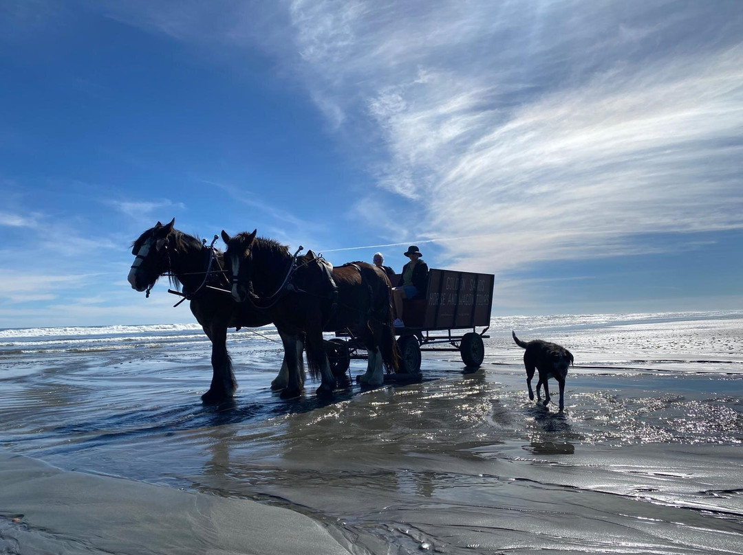 Golden Sands Horse and Wagon Tours-巴里镇必去景点