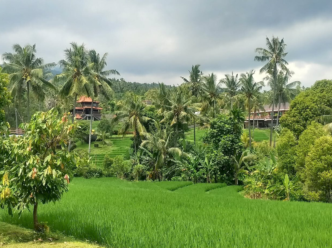 玛哈山度假村 by Mahaprana 体验主图