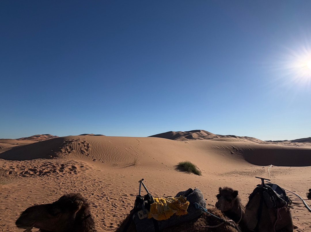 Morocco Travel Time-马拉喀什必去景点