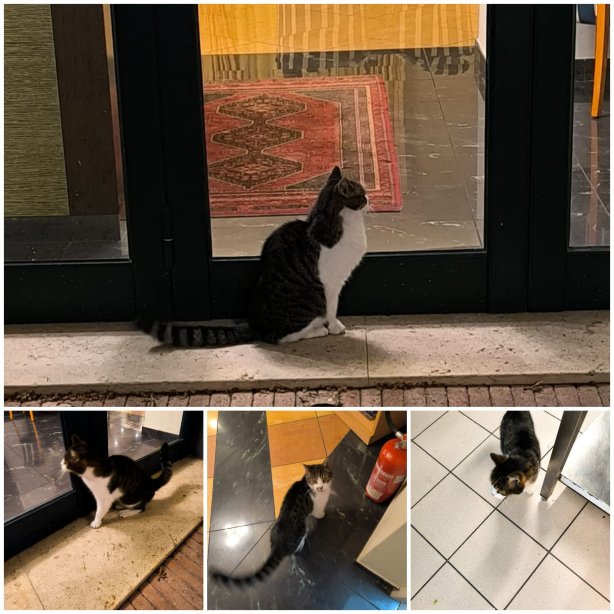 达文西酒店-旅行者