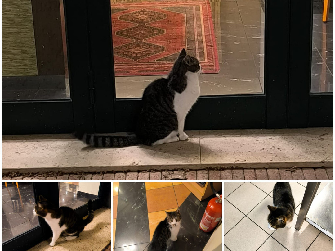 达文西酒店主图