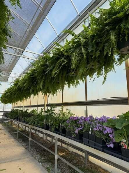 Gatewood Vegetable Farm & Greenhouses, Inc.-Noblesville必去景点
