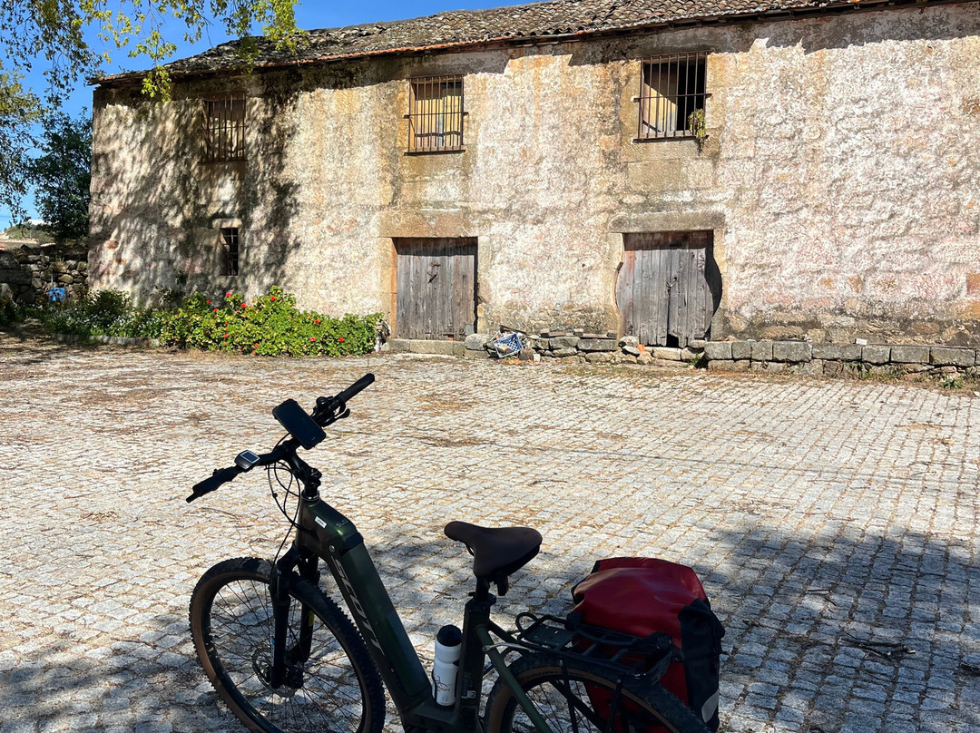 Top Bike Tours Portugal-波尔图必去景点