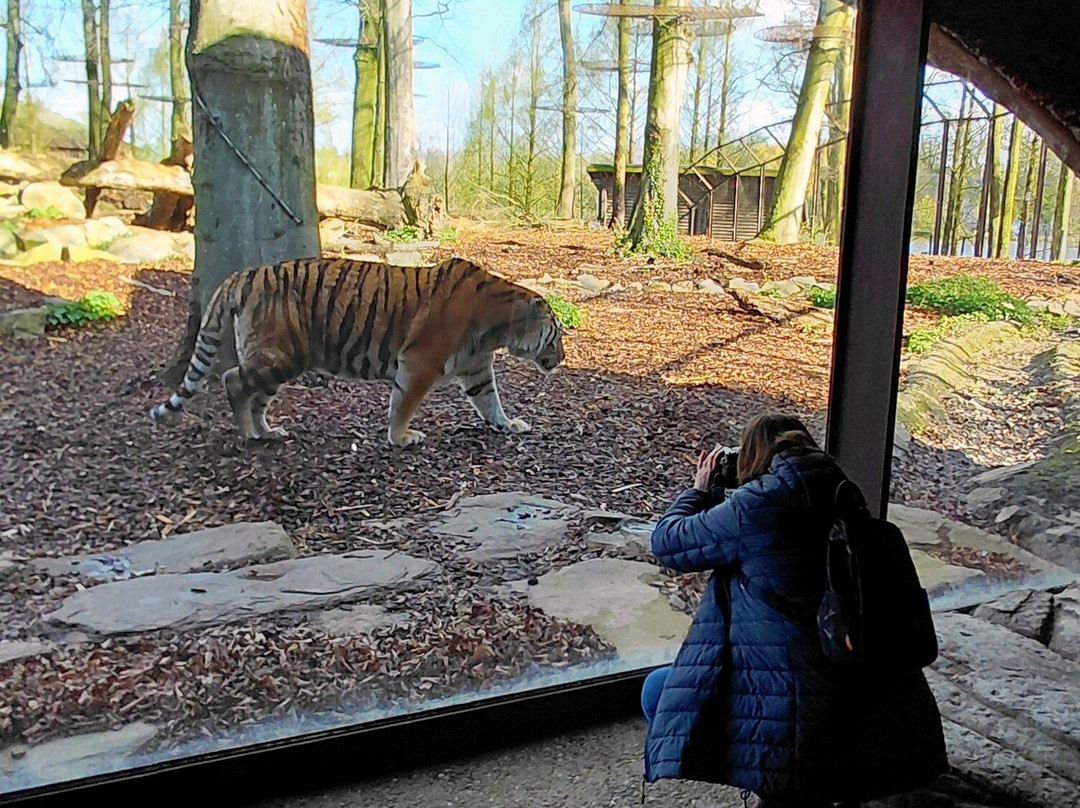 Pairi Daiza Resort主图