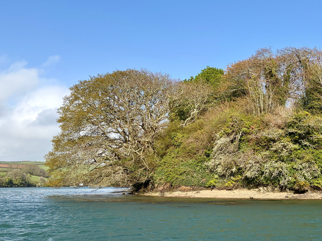 Salcombe Cruises-Salcombe必去景点