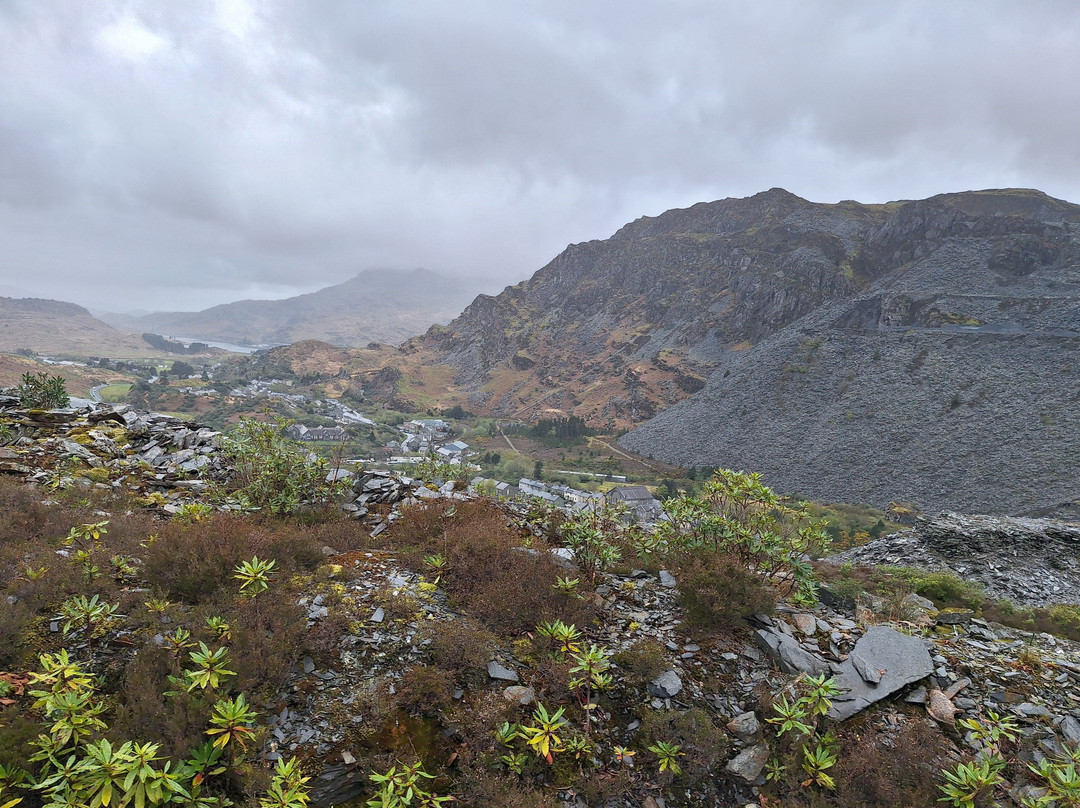 Zip World Llechwedd-Blaenau Ffestiniog必去景点