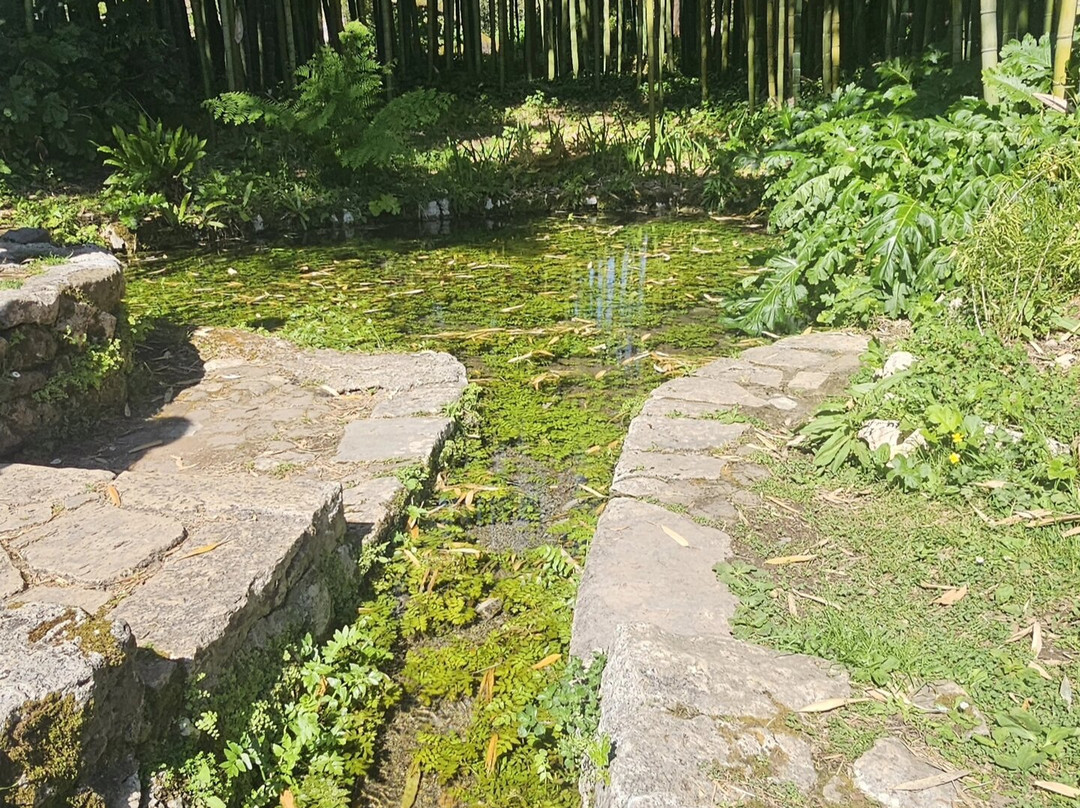 宁法花园 - 自然纪念碑-奇斯泰纳迪拉丁纳必去景点