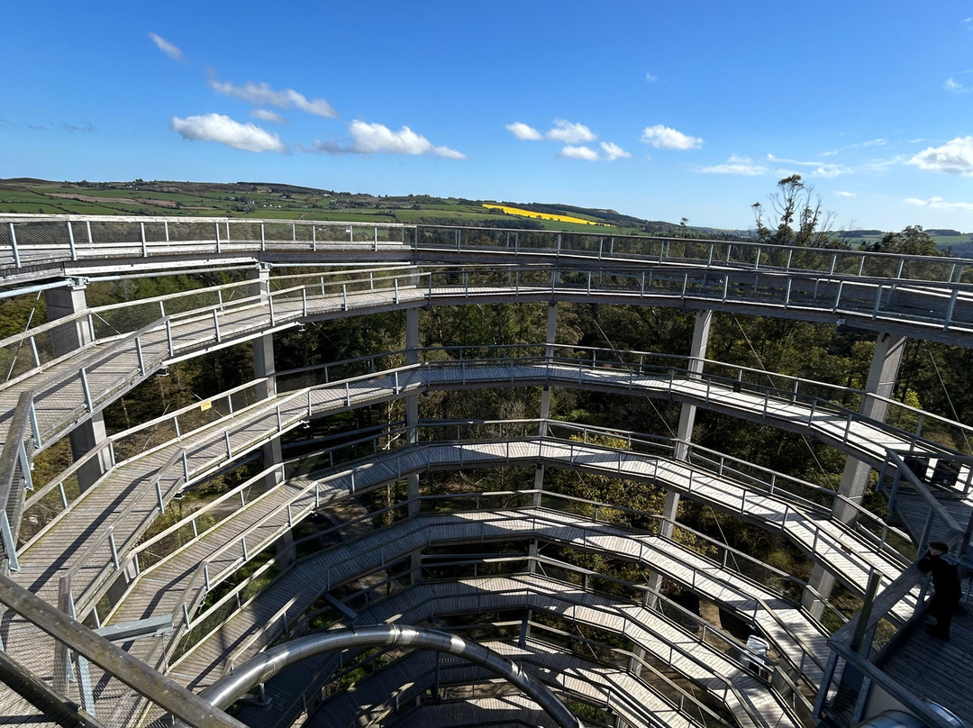 Treetop Walk Avondale-Rathdrum必去景点