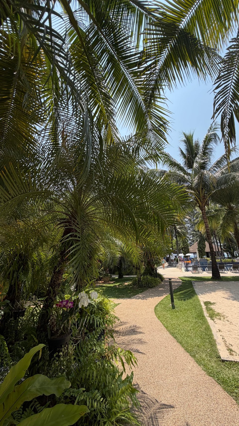邦涛海滩太阳之翼酒店-旅行者