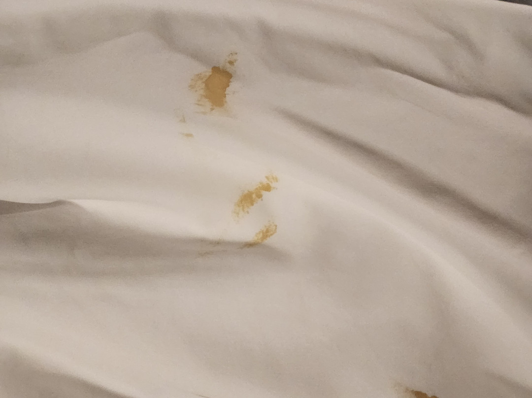 Holiday Inn 拉勒米主图