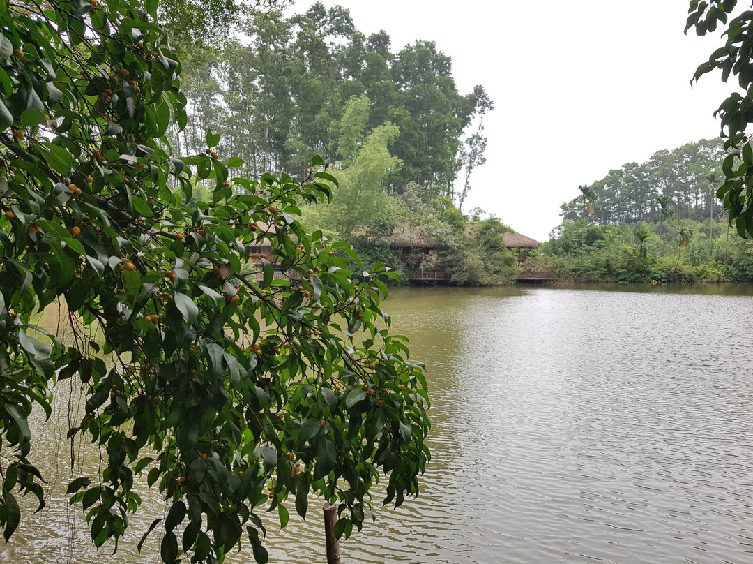 Thai Hai Village-Thai Nguyen必去景点