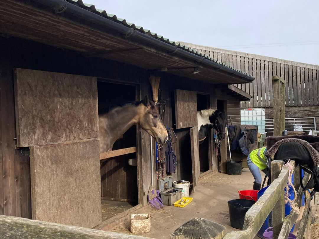 高峰之家农场旅馆主图