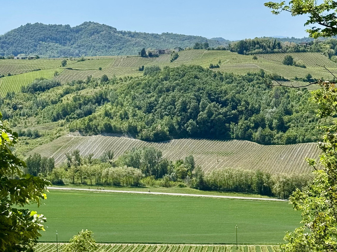Tenuta Travaglino-Calvignano必去景点