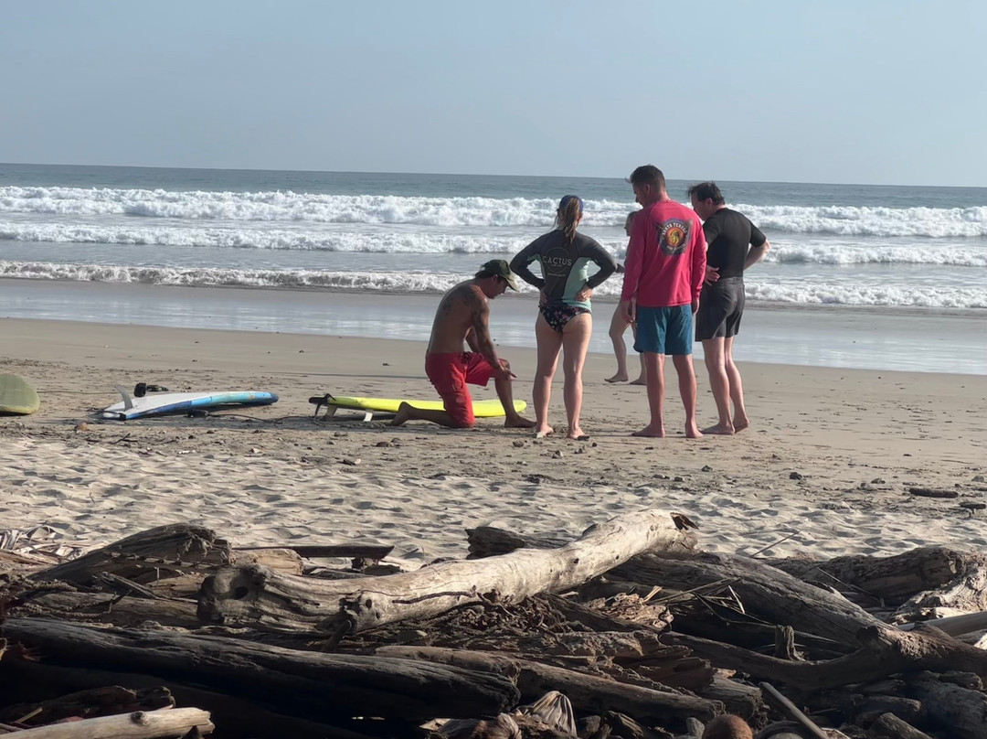 Santa Teresa Surf Lessons-圣特雷莎必去景点