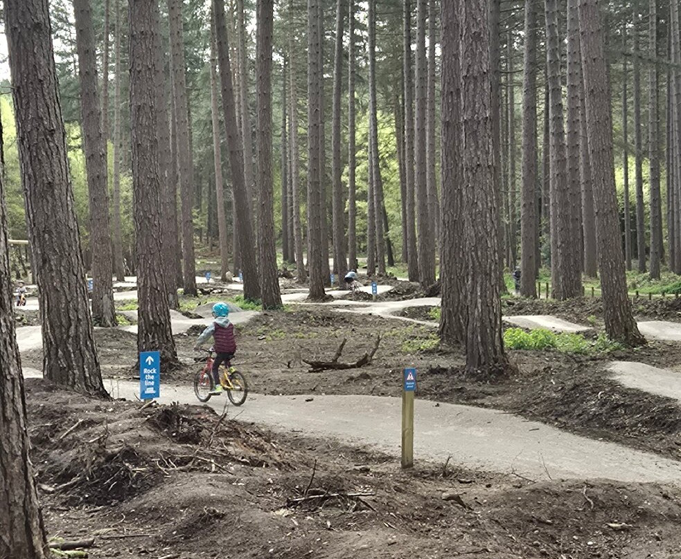 Sherwood Pines-Mansfield必去景点