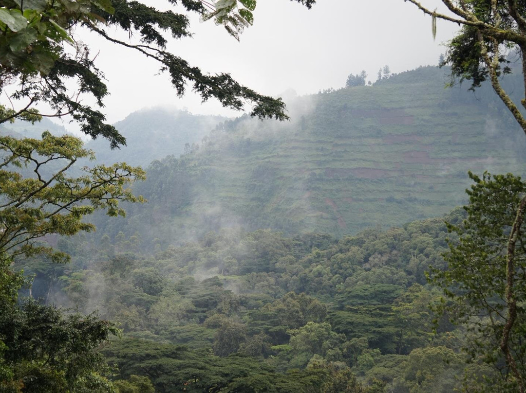Bamboo Ecotours-坎帕拉必去景点