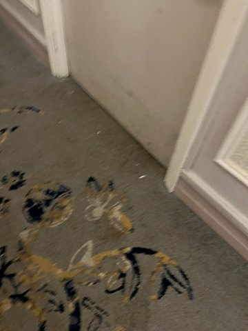 荷兰广场希尔顿酒店-旅行者
