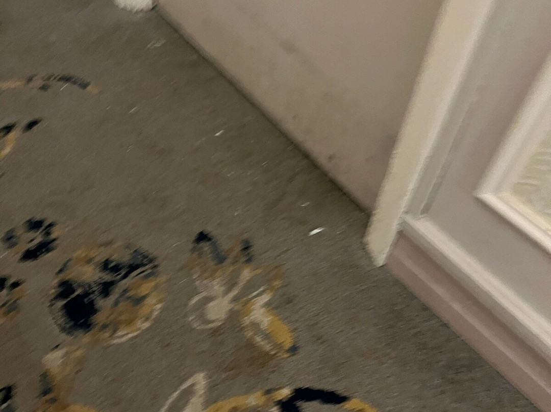 荷兰广场希尔顿酒店主图