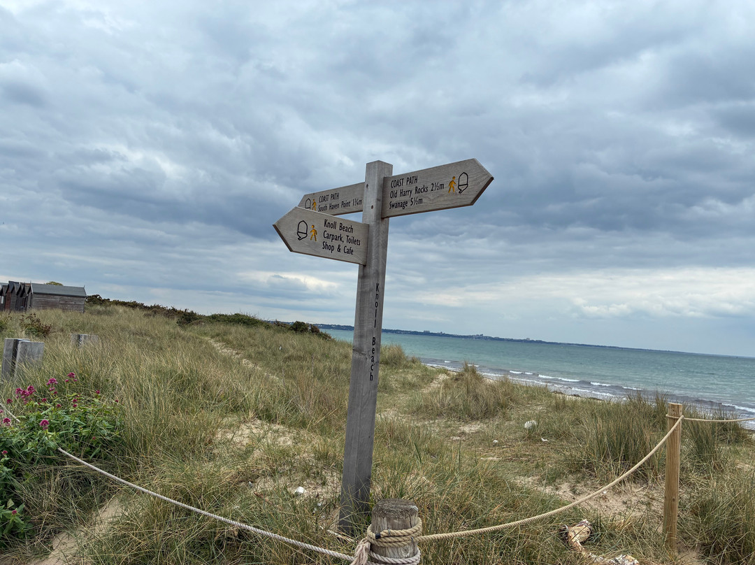 Studland beach and Nature Reserve-Studland必去景点
