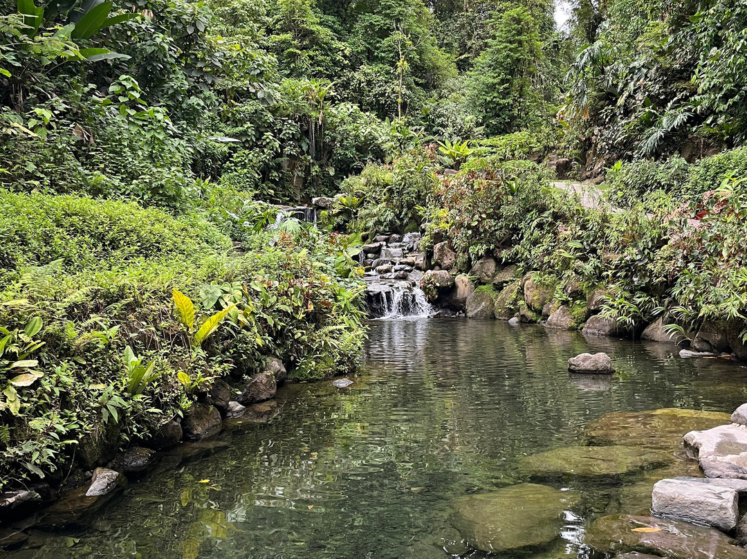 Kurú Natural Springs-福德圣卡洛斯必去景点