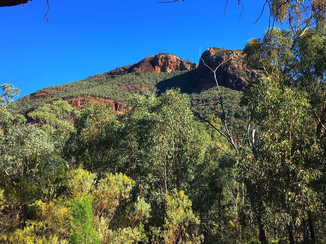 Warrumbungle National Park-Coonabarabran必去景点