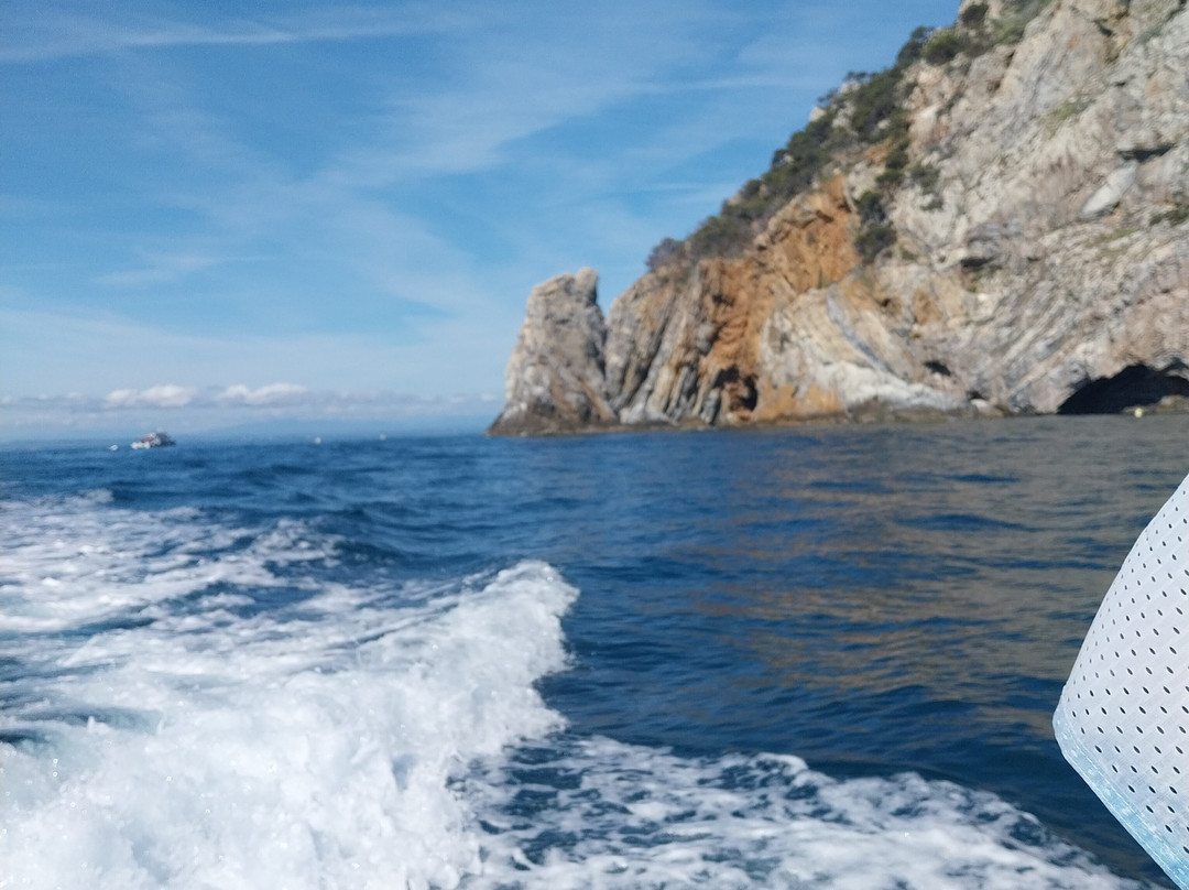 Boats Mediterrani-罗塞斯必去景点