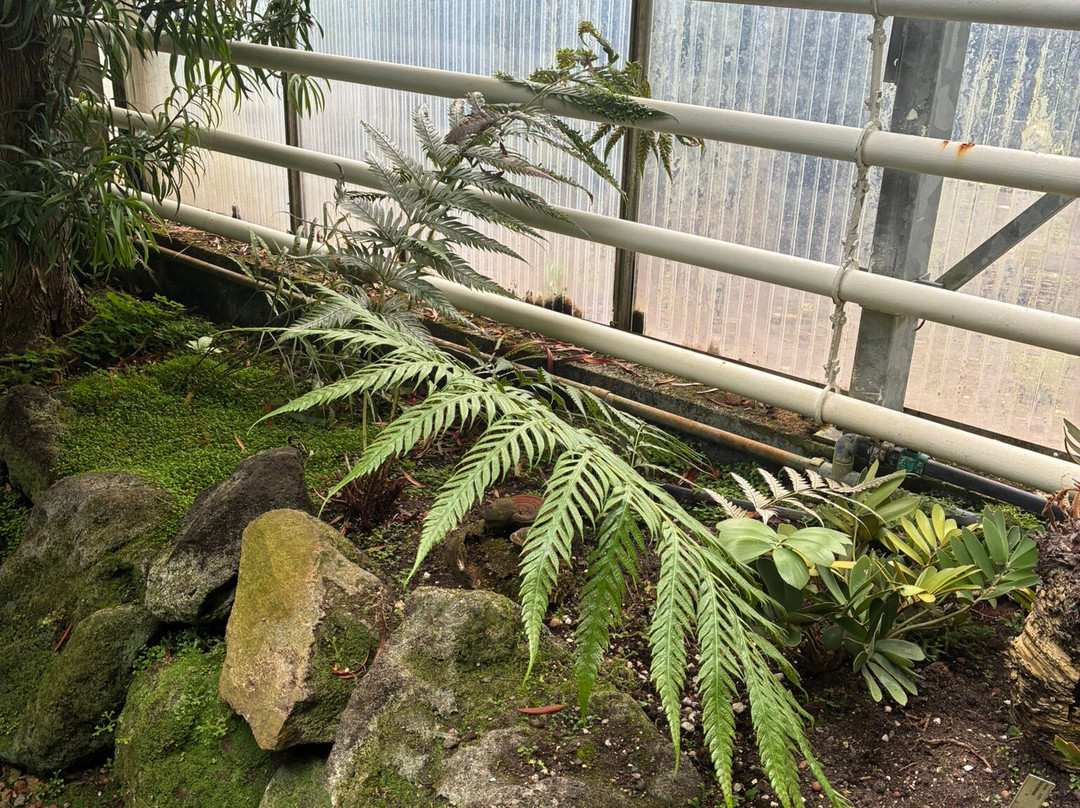 Pinetum Blijdenstein-Hilversum必去景点