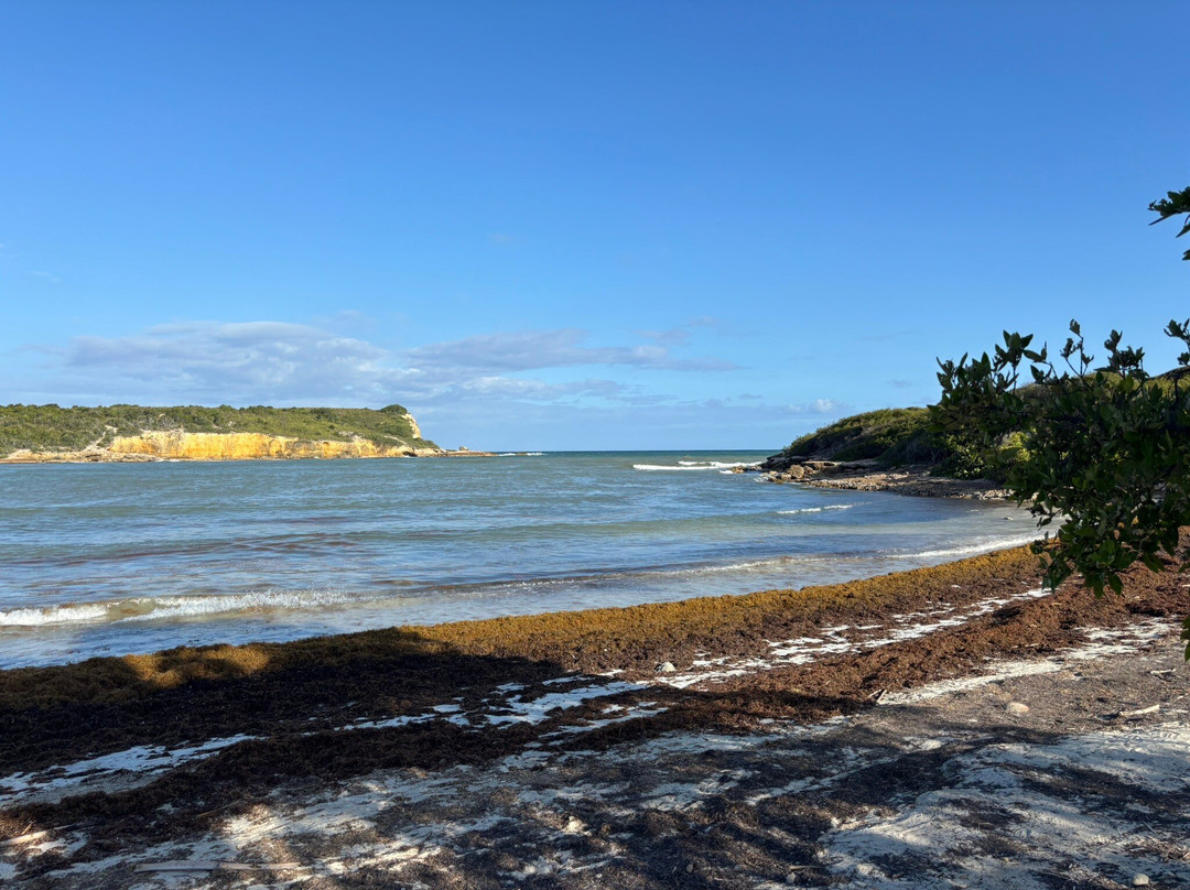 Playa Sucia-Cabo Rojo必去景点
