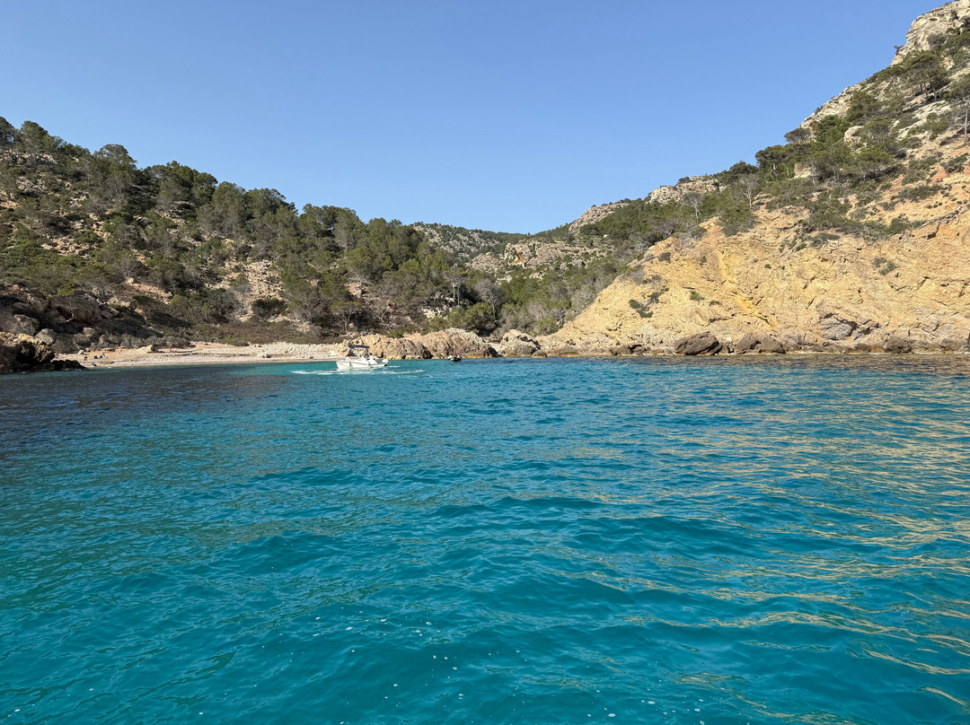CARLO MAR CHARTER NAUTIC-Port d'Andratx必去景点