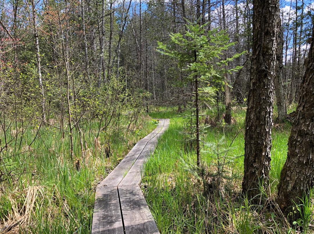 Baker Woods Preserve-Natural Bridge必去景点