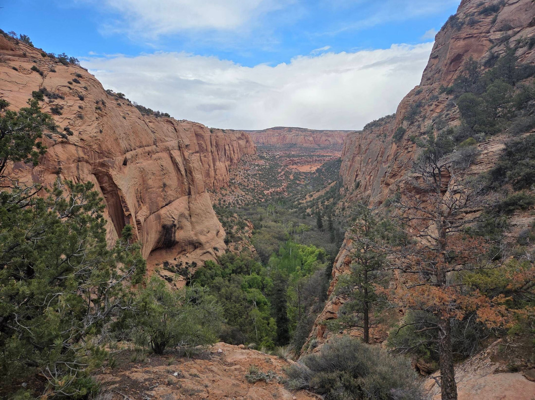 Navajo National Monument-Shonto必去景点