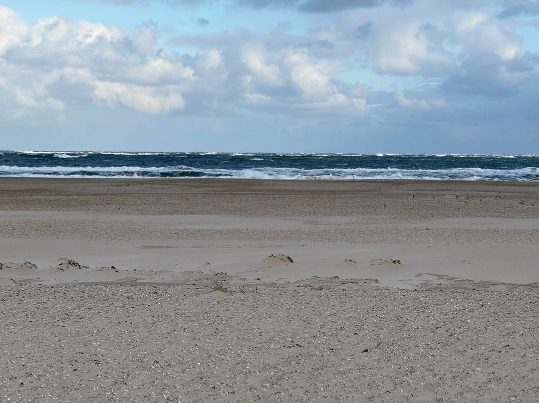 Vuurtorenweg Texel Beach-De Cocksdorp必去景点