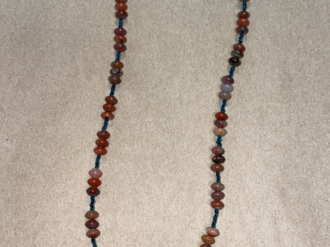 Jim Gray's Petrified Wood Co.-霍尔布鲁克必去景点