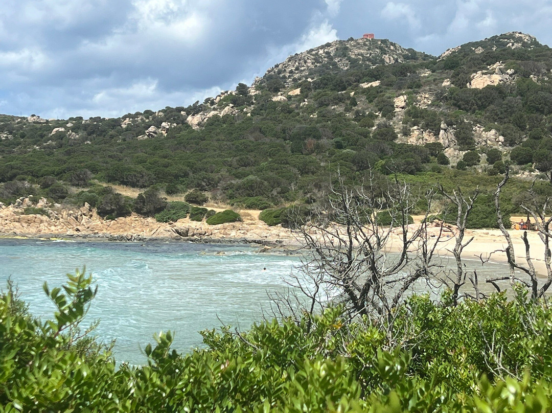 Spiaggia di Cala Cipolla-Chia必去景点