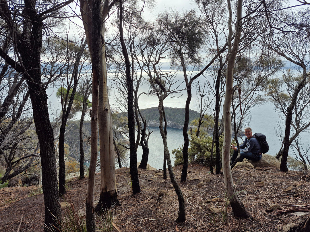 Fluted Cape Trail-Adventure Bay必去景点