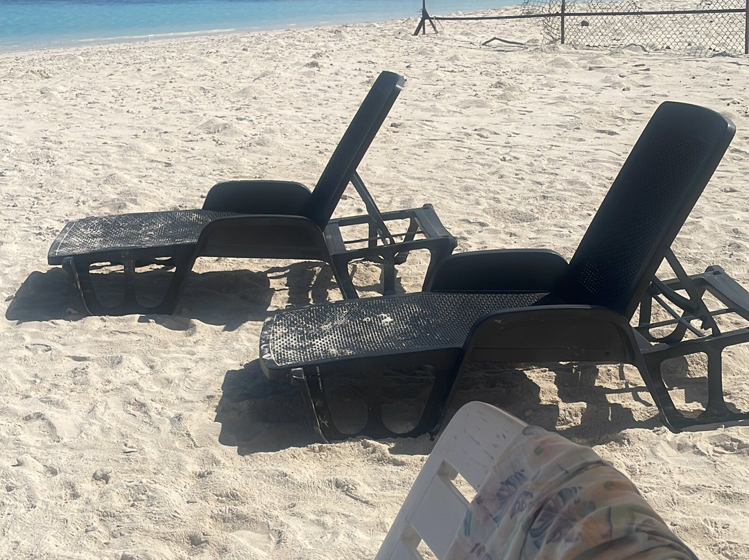 Local Travel Beach主图
