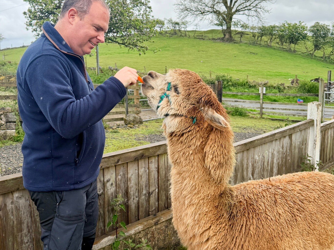 Woolly Experiences Therapy Farm-Mold必去景点
