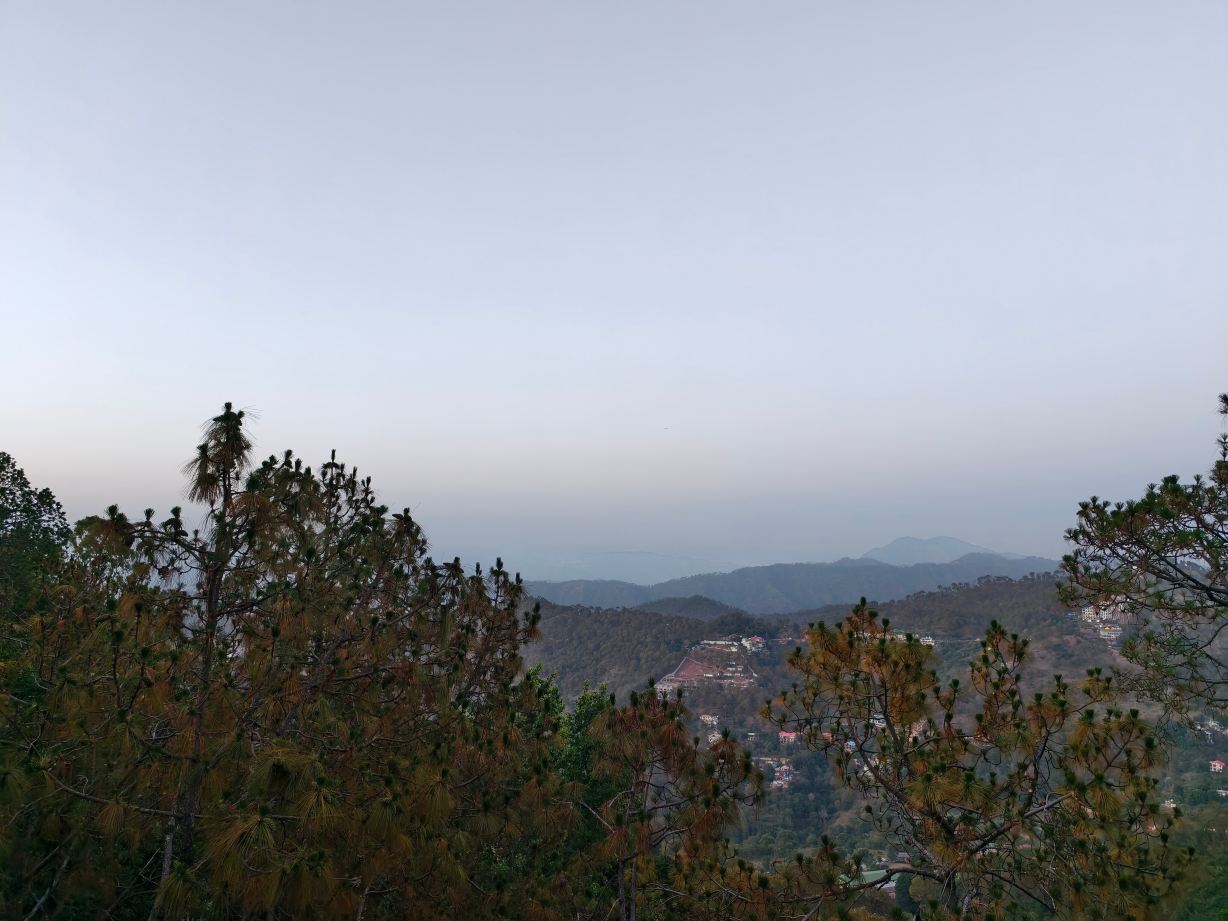 Daleside Manor, Boutique Hotel, Kasauli-旅行者