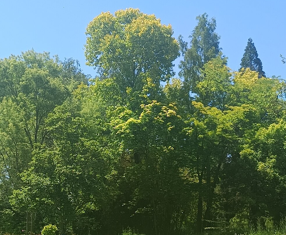 Jardins des Martels-Giroussens必去景点