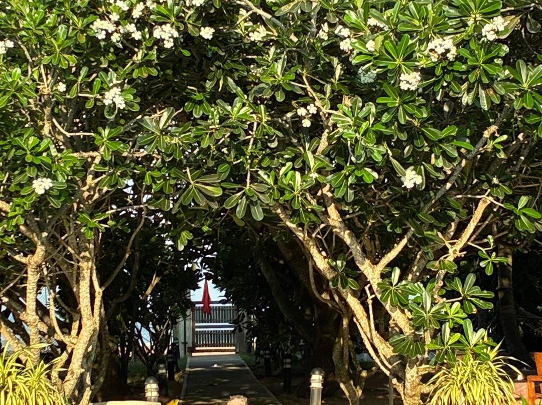 Roman Life Ayurveda Resort主图
