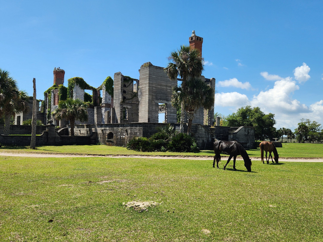 Cumberland Island National Seashore-St. Marys必去景点