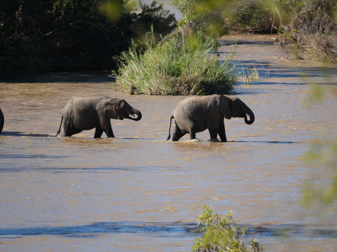Rhino Africa Safaris-开普敦中心区必去景点